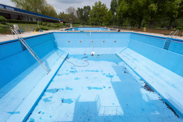 Best Flood damage cleanup  in Starkville, MS