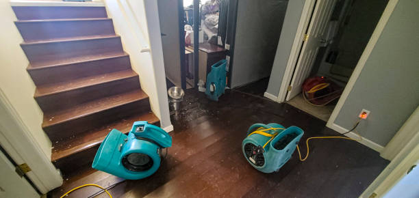 Best Local water damage restoration  in Starkville, MS