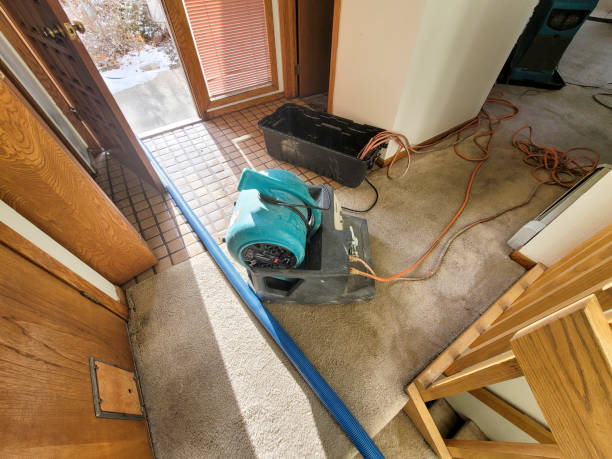 Best Ceiling water damage repair  in Starkville, MS