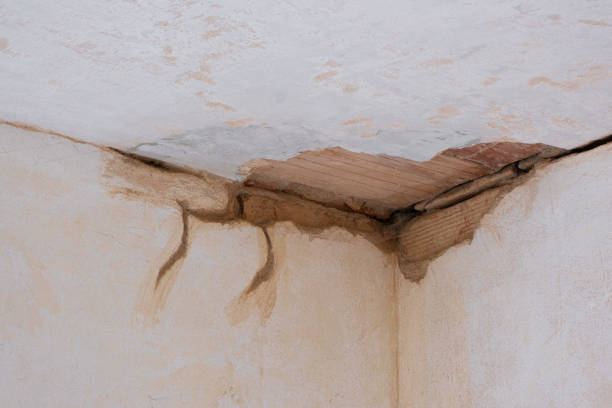 Best Water damage restoration process  in Starkville, MS