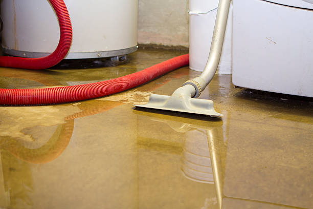 Best Fire Damage Restoration  in Starkville, MS