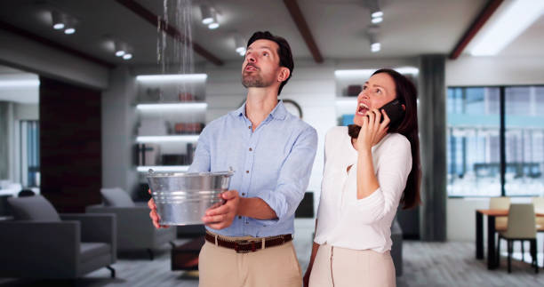 Best Water damage restoration mold remediation  in Starkville, MS