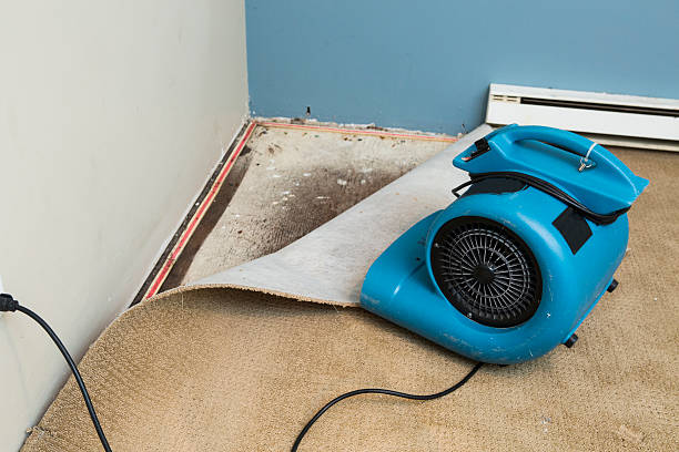  Starkville, MS Water damage restoration Pros